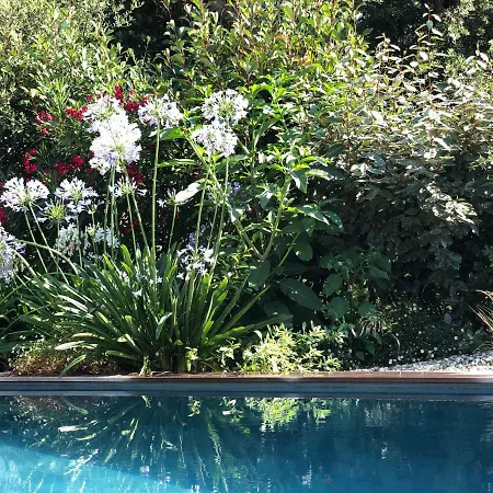 Alpana 1 Villa Porto-Vecchio (Corsica)